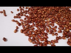 팜 데마트 분류 기계